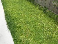愛媛県